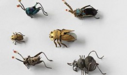 昆虫挂件爆料怎么做视频,创意视频制作攻略