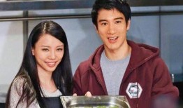 王力宏前妻爆料视频大全,揭秘婚姻内幕与情感纠葛