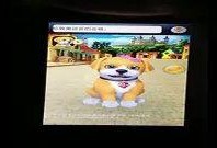 在线观看皮皮,网络观影新体验，畅享影视盛宴