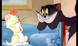 超萌爆料杰瑞请演员视频