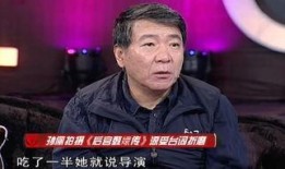 苗阜爆料郑晓龙视频大全,视频大全背后的惊人内幕