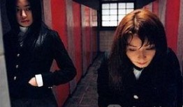 狐狸阶梯在线观看,探寻神秘世界的奇幻之旅