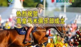 王庄爆料二虎事件视频,二虎事件视频揭秘惊人内幕