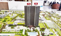 郑州绿城爆料事件视频最新,揭露背后惊人真相