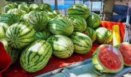 云南网红吃瓜事件真相揭秘,揭秘背后真相与争议