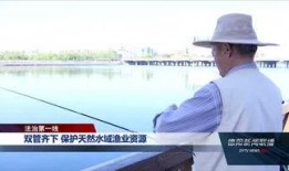 德阳爆料王视频,揭秘当地热点事件，带你直击现场