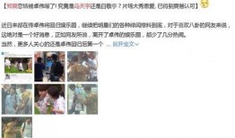 马天宇最新爆料视频,娱乐圈背后的惊人真相