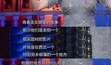 张姓明星爆料最新情况,揭秘娱乐圈惊人内幕！