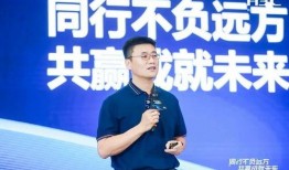 新闻爆料王鑫简历介绍视频,简历背后的精彩人生