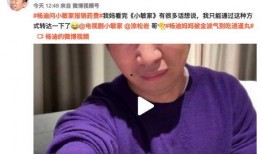 杨迪爆料被踢视频播放,揭秘娱乐圈幕后真相