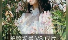 秀姐东坡爆料视频完整版,揭秘娱乐圈不为人知的秘密