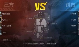 和平精英视频爆料大全免费,揭秘游戏最新动态与精彩瞬间