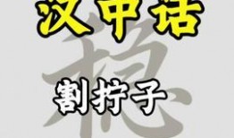 汉中头条最新爆料,揭秘重大事件背后真相！