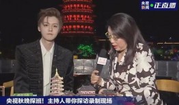 台湾爆料鹿晗事件视频播放,视频播放背后的真相与争议