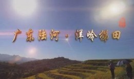 陆河新闻爆料最新消息,最新爆料揭示重大事件进展！