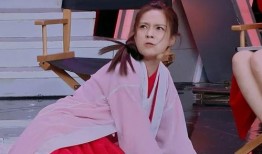 沈梦辰爆料某男演员视频,真相背后引热议