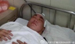 解剖活狗视频在线观看,动物解剖的真实过程