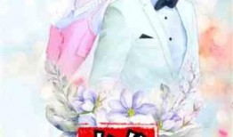 娱乐圈七夕爆料小说,七夕爆料的浪漫传奇