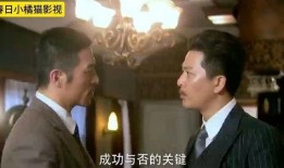 电视剧卧底在线观看,潜入黑暗，只为光明