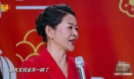 倪萍爆料主持人视频播放,视频播放背后的惊人内幕