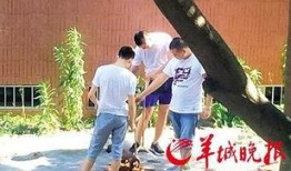 汕头最新爆料新闻事件