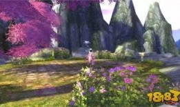 神豪风景爆料视频,独家爆料视频深度解析