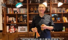刘云天爆料视频全集,揭秘事件真相与幕后黑幕