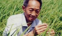 外媒爆料袁隆平视频播放,全球关注杂交水稻发展新篇章