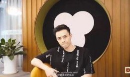 新闻爆料王鑫简历介绍视频,简历背后的精彩人生