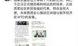 鲁山爆料者最新回应消息,揭秘事件真相与后续发展