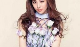 娱乐大爆料包文婧百度云,揭秘明星幕后故事